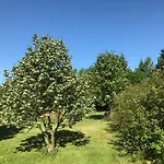 Andrzejowka