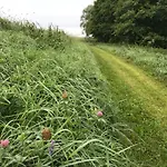 Andrzejowka ヴィラ