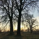 Andrzejowka Вилла