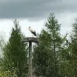 ヴィラ Andrzejowka *