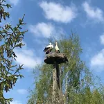 ヴィラ Andrzejowka