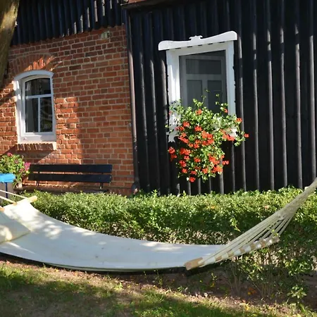 Andrzejowka * Borowe