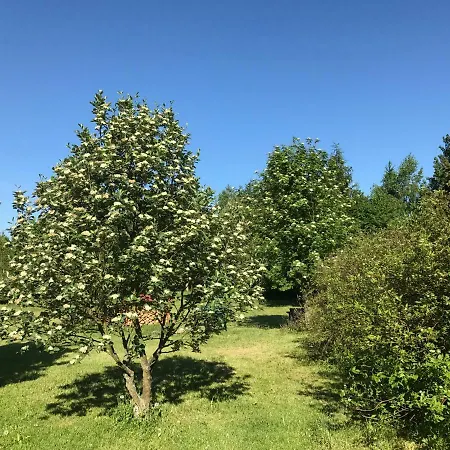 Andrzejowka
