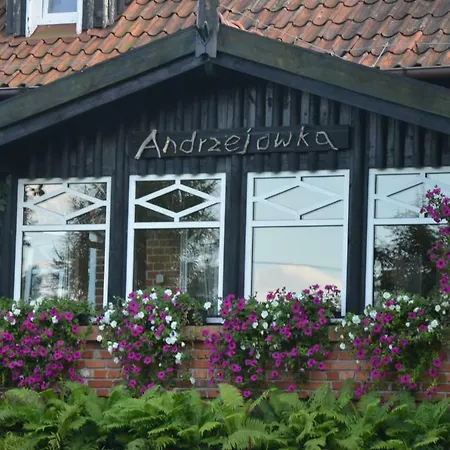 Villa Andrzejowka Borowe