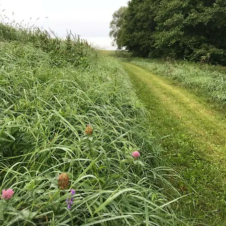 Andrzejowka Вилла