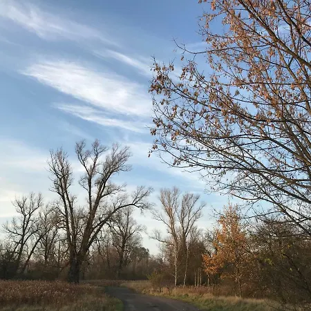 Andrzejowka * Borowe