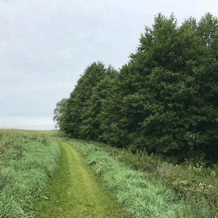 Andrzejowka Вилла