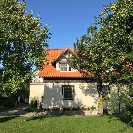 Andrzejowka Villa Borowe