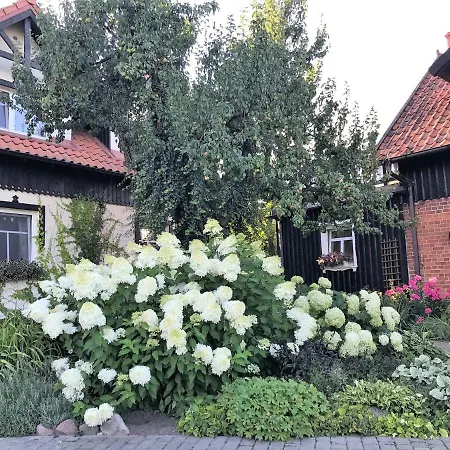 Andrzejowka Вилла