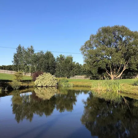 Andrzejowka * Borowe