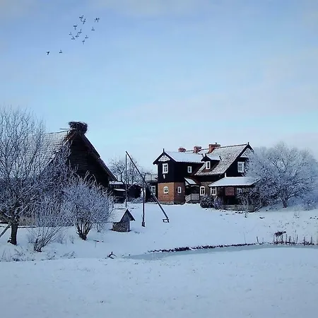 Villa Andrzejowka *