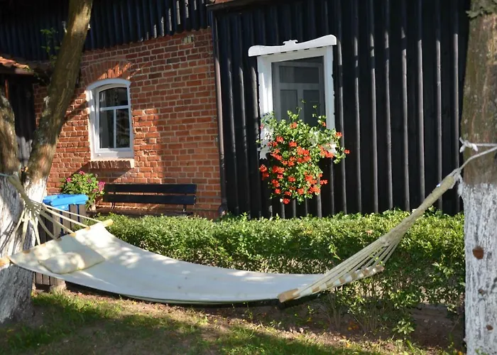 Andrzejowka * Borowe