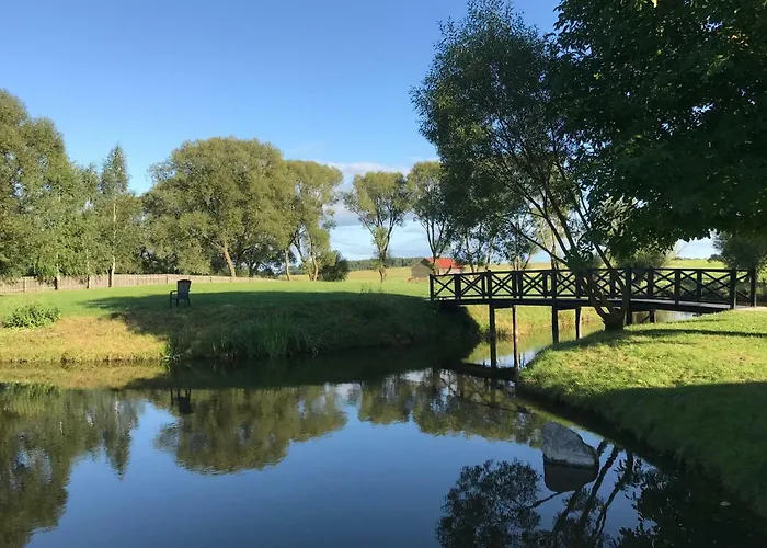 Andrzejowka * Borowe