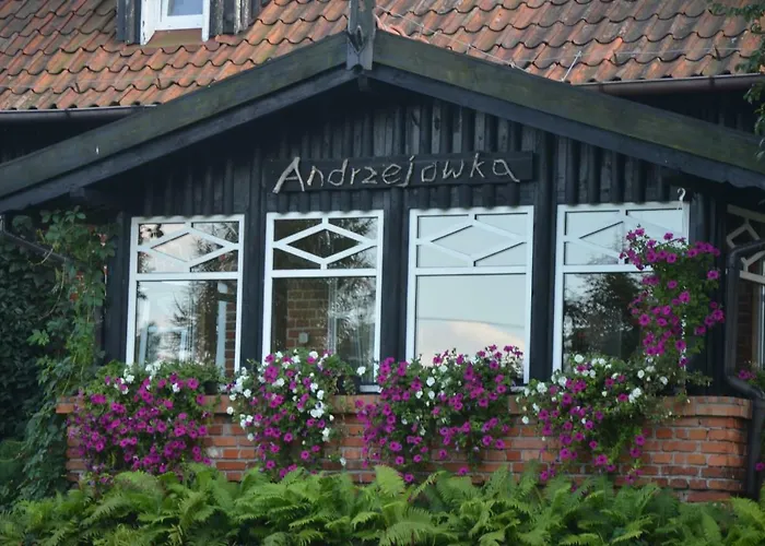 Vila Andrzejowka Borowe