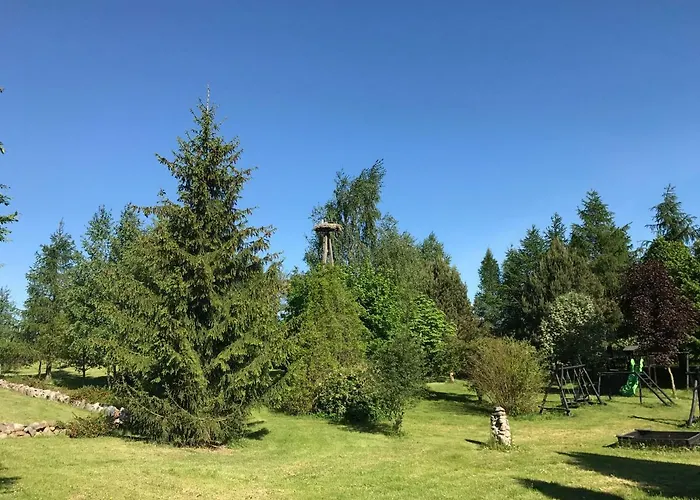 别墅 Andrzejowka Borowe