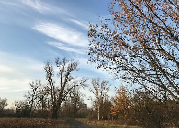 Andrzejowka * Borowe