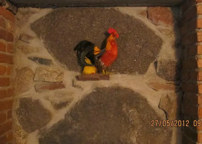 Andrzejowka * Borowe