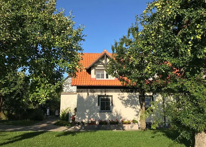 Andrzejowka Vila Borowe