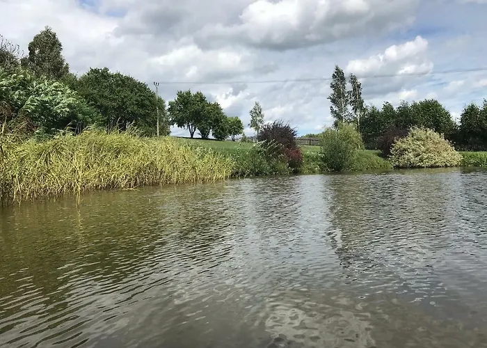 Andrzejowka * Borowe