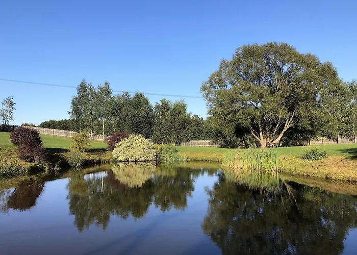 Andrzejowka * Borowe