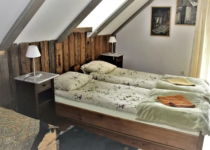 Andrzejowka Vila Borowe