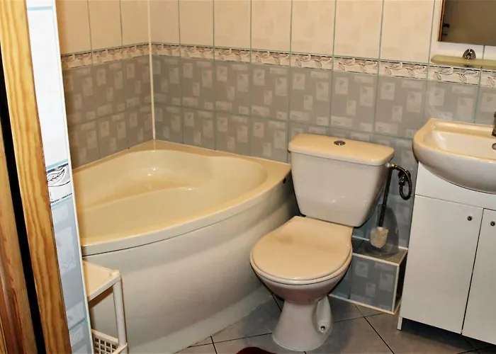 Andrzejowka Vila Borowe